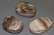 Petrified Wood Oval Bead